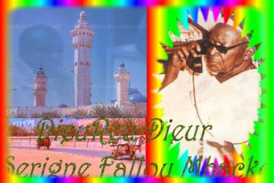 serigne fallou mback