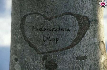 quelle baranch de mamadou diop